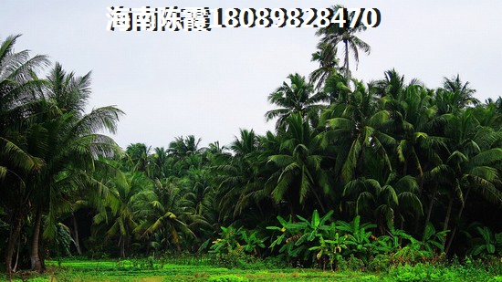 嘉积房价 嘉积房价
